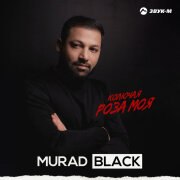 Murad Black - Колючая роза моя