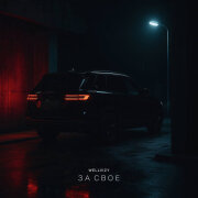 WELLVIZY - За своё