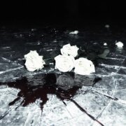 WHITE GALLOWS, Danny Farro - Бредить