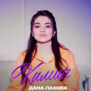 Дана Лахова - Камин