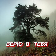Гравитация - Бессонница