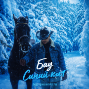 Бау - Синий кит