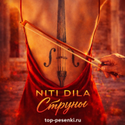 NITI DILA - Струны