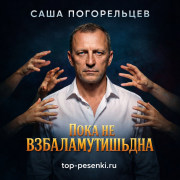 Саша Погорельцев - Пока не взбаламутишь дна