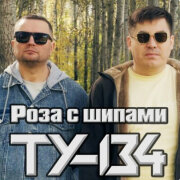 ТУ-134 - Роза с шипами