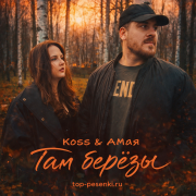 Koss, Амая - Там берёзы