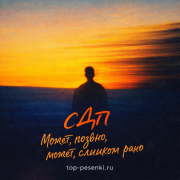 СДП - Может, поздно, может, слишком рано