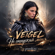 VEIGEL - Не отпускай меня
