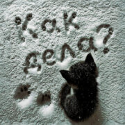 whyspurky - Как дела?