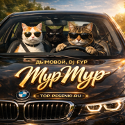 Дымовой, Dj Fyp - Мур Мур