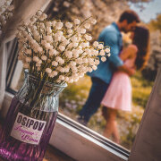 Osipov, FoxyOne - Весенние цветы