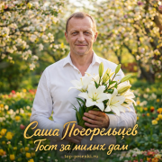 Саша Погорельцев - Тост за милых дам